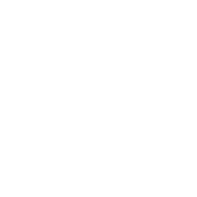 Texasure LLC